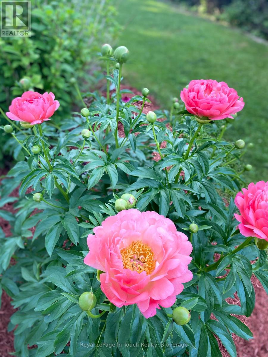 444 Hayes Street, Tay (Port Mcnicoll), Ontario  L0K 1R0 - Photo 47 - S12899880