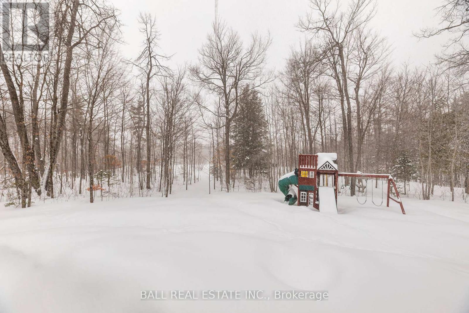 783 County 49 Road, Kawartha Lakes, Ontario  K0M 1A0 - Photo 50 - X12899748