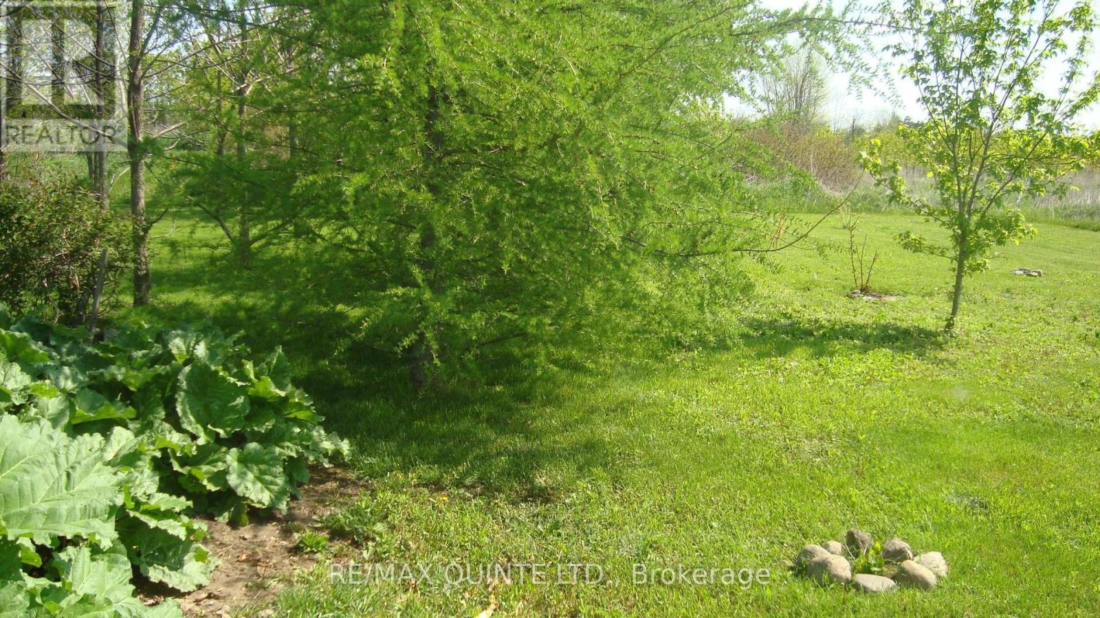 159 Simpson Road, Prince Edward County, Ontario  K0K 1P0 - Photo 9 - X12899782