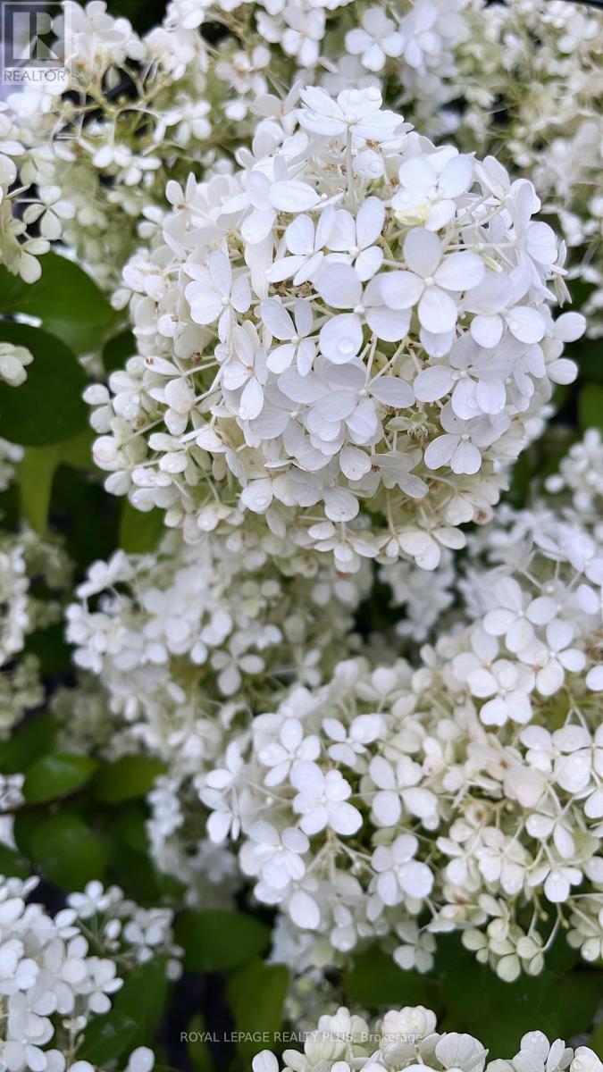 2171 Forest Gate Park, Oakville, Ontario  L6M 4B3 - Photo 36 - W12899792