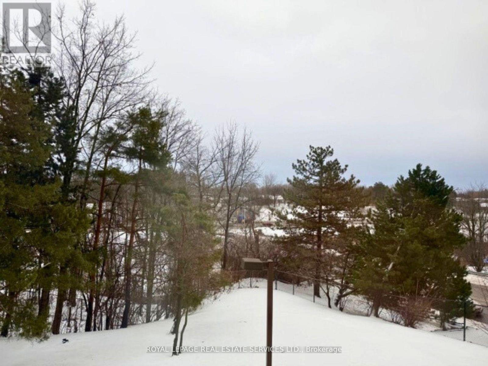 #202 - 310 Mill Street S, Brampton, Ontario  L6Y 3B1 - Photo 19 - W12899906