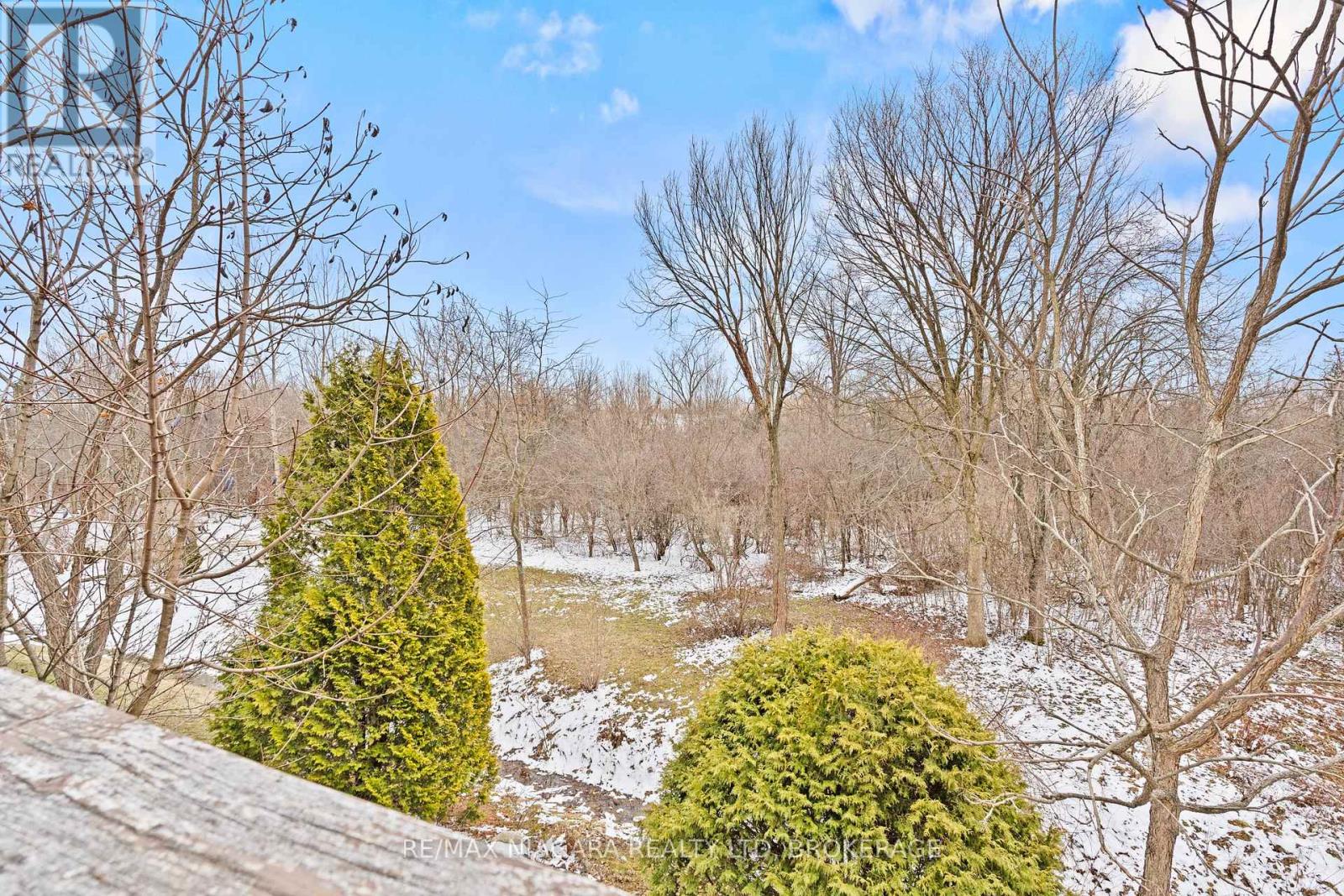 7852 Charnwood Avenue, Niagara Falls (Dorchester), Ontario  L2H 3E2 - Photo 39 - X12898526