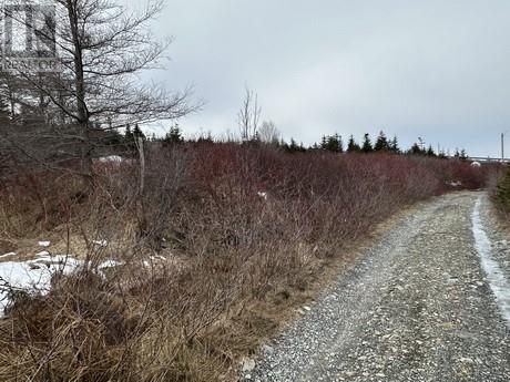 9-21 Cottors Street, Carbonear, Newfoundland & Labrador  A1Y 1A7 - Photo 3 - 1295332