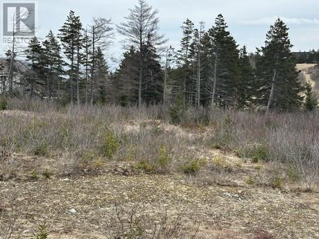 7a Cotters Street, Carbonear, Newfoundland & Labrador  A1Y 1A7 - Photo 2 - 1295333