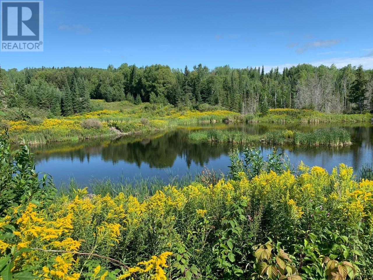 372 Sovereign Rd, Conmee, Ontario  P0T 1W0 - Photo 5 - TB2600482