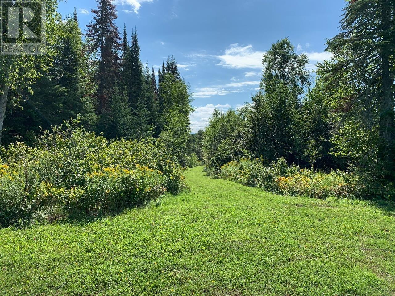 372 Sovereign Rd, Conmee, Ontario  P0T 1W0 - Photo 7 - TB2600482