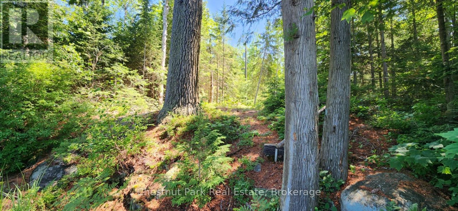 730 Echo Ridge Road, Kearney, Ontario  P0A 1M0 - Photo 21 - X12900198