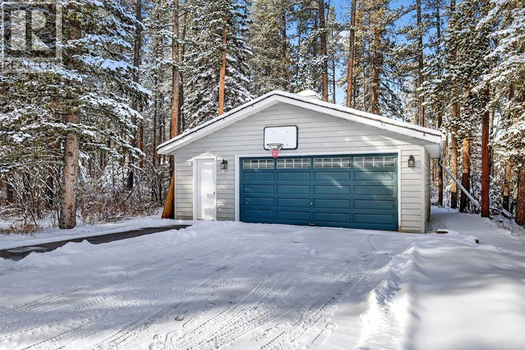 328 Wild Rose Close, Rural Rocky View County, Alberta  T3Z 3R3 - Photo 46 - A2287872