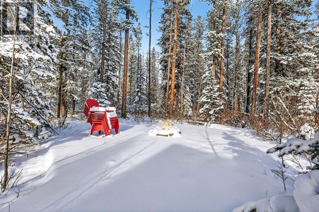 328 Wild Rose Close, Rural Rocky View County, Alberta  T3Z 3R3 - Photo 47 - A2287872