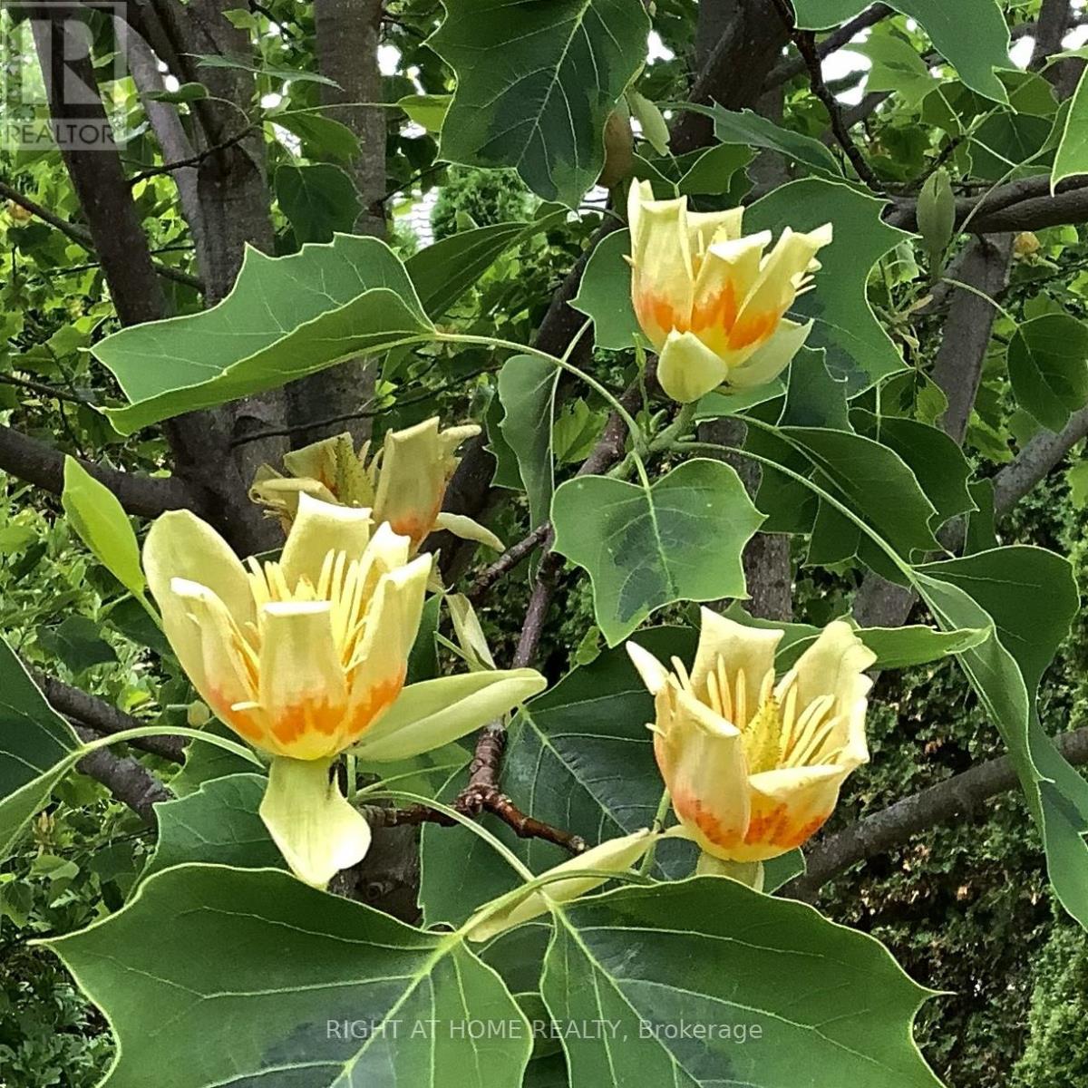 643 King Street, Niagara-On-The-Lake, Ontario  L0S 1J0 - Photo 46 - X12900088