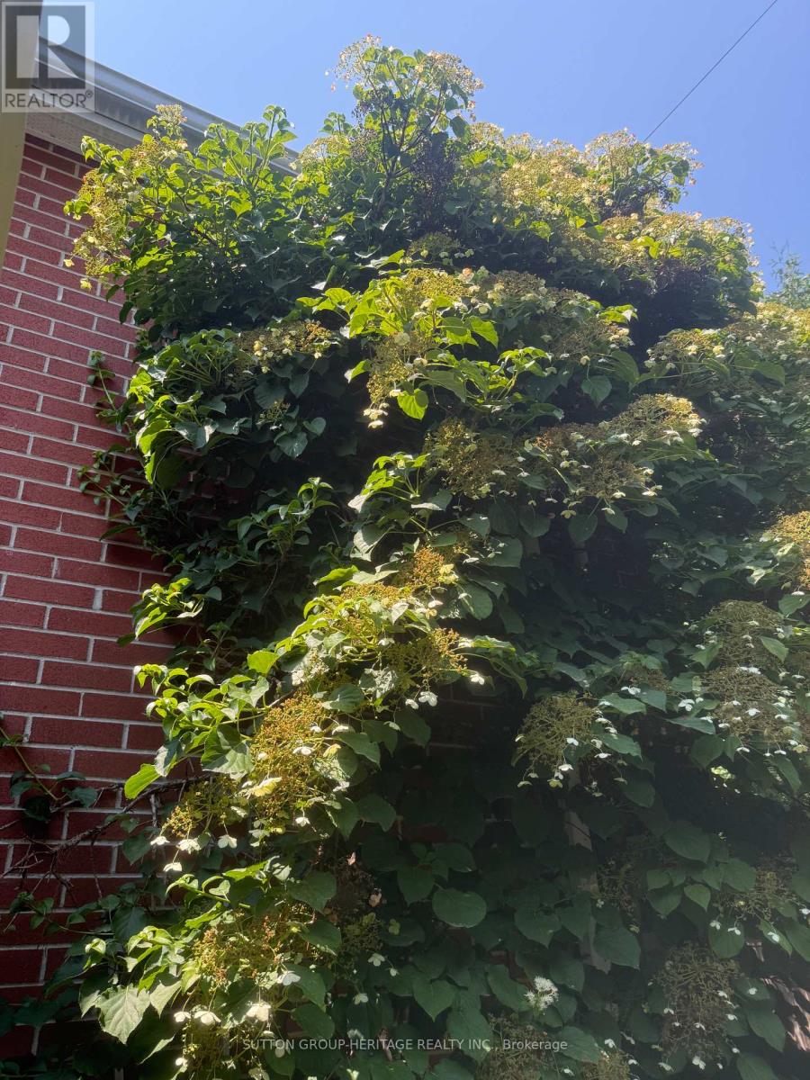 3135 Concession 9 Road, Pickering, Ontario  L0B 1A0 - Photo 11 - E12705988