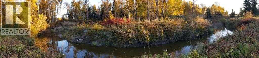 411048c Buster Creek, Rural Clearwater County, Alberta  T4T 1A5 - Photo 7 - A2292079