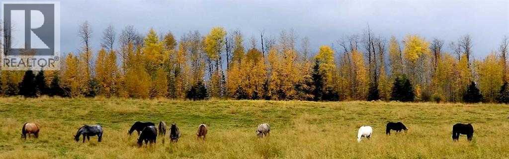 411048c Buster Creek, Rural Clearwater County, Alberta  T4T 1A5 - Photo 39 - A2292079