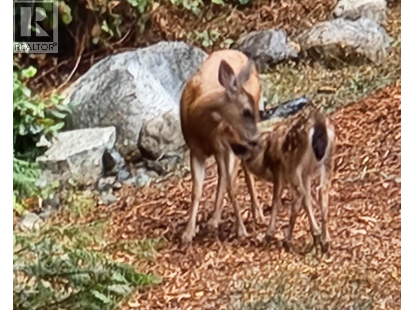 304 Esplanade Road, Keats Island, British Columbia  V0N 1V0 - Photo 36 - R3101543