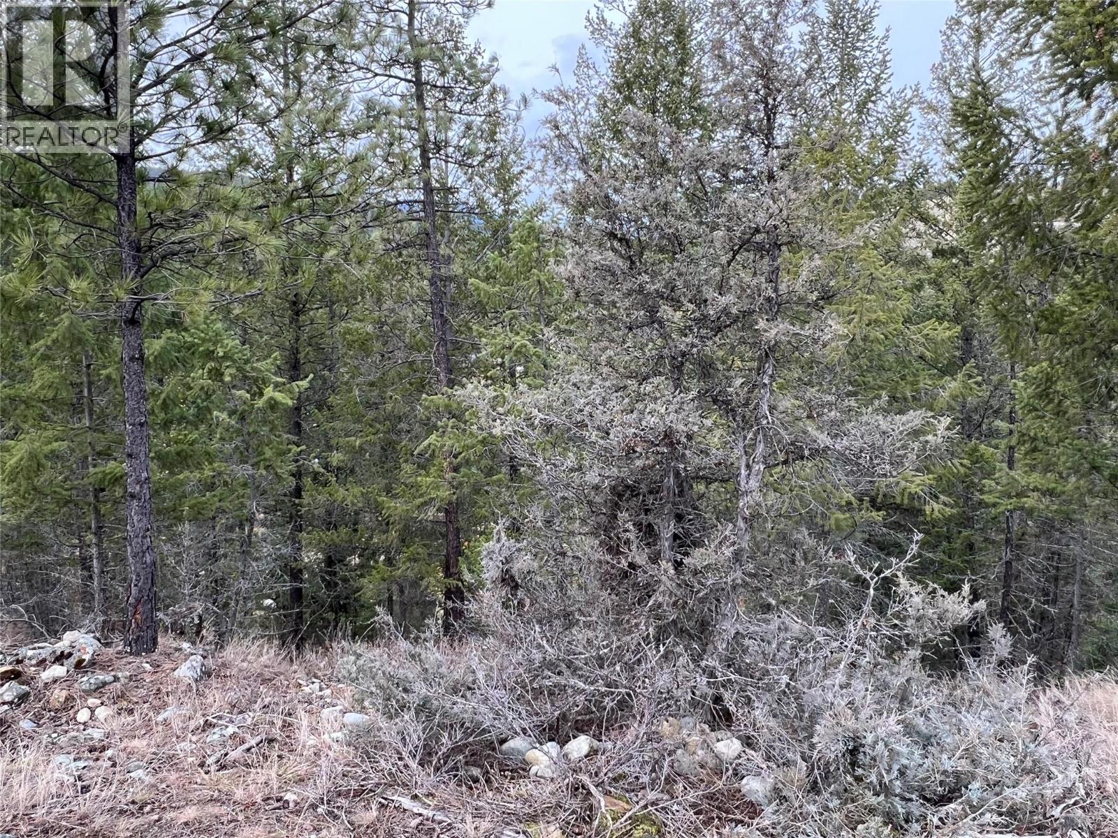 160 Purcell Place, Cranbrook, British Columbia V1C 0C6 - Photo 10 - 10380065