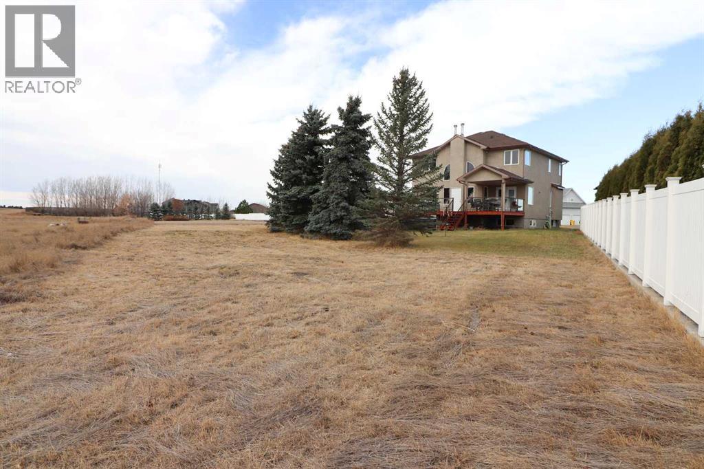 443 East 9 Avenue, Dunmore, Alberta  T0J 1A0 - Photo 44 - A2270718