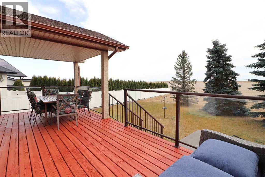 443 East 9 Avenue, Dunmore, Alberta  T0J 1A0 - Photo 47 - A2270718