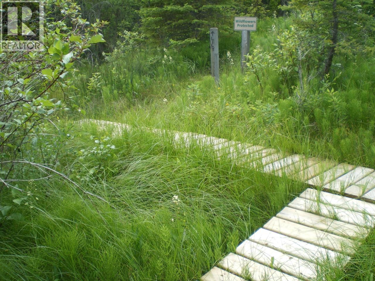 Lot 9 Bella Vista Boulevard, Fairmont Hot Springs, British Columbia  V0B 1L1 - Photo 22 - 10355322