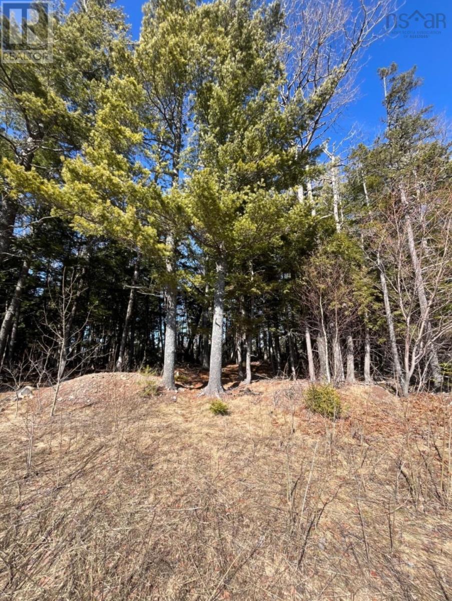 18 Acres Highway 256, West Branch, Nova Scotia  B0K 1R0 - Photo 2 - 202601386