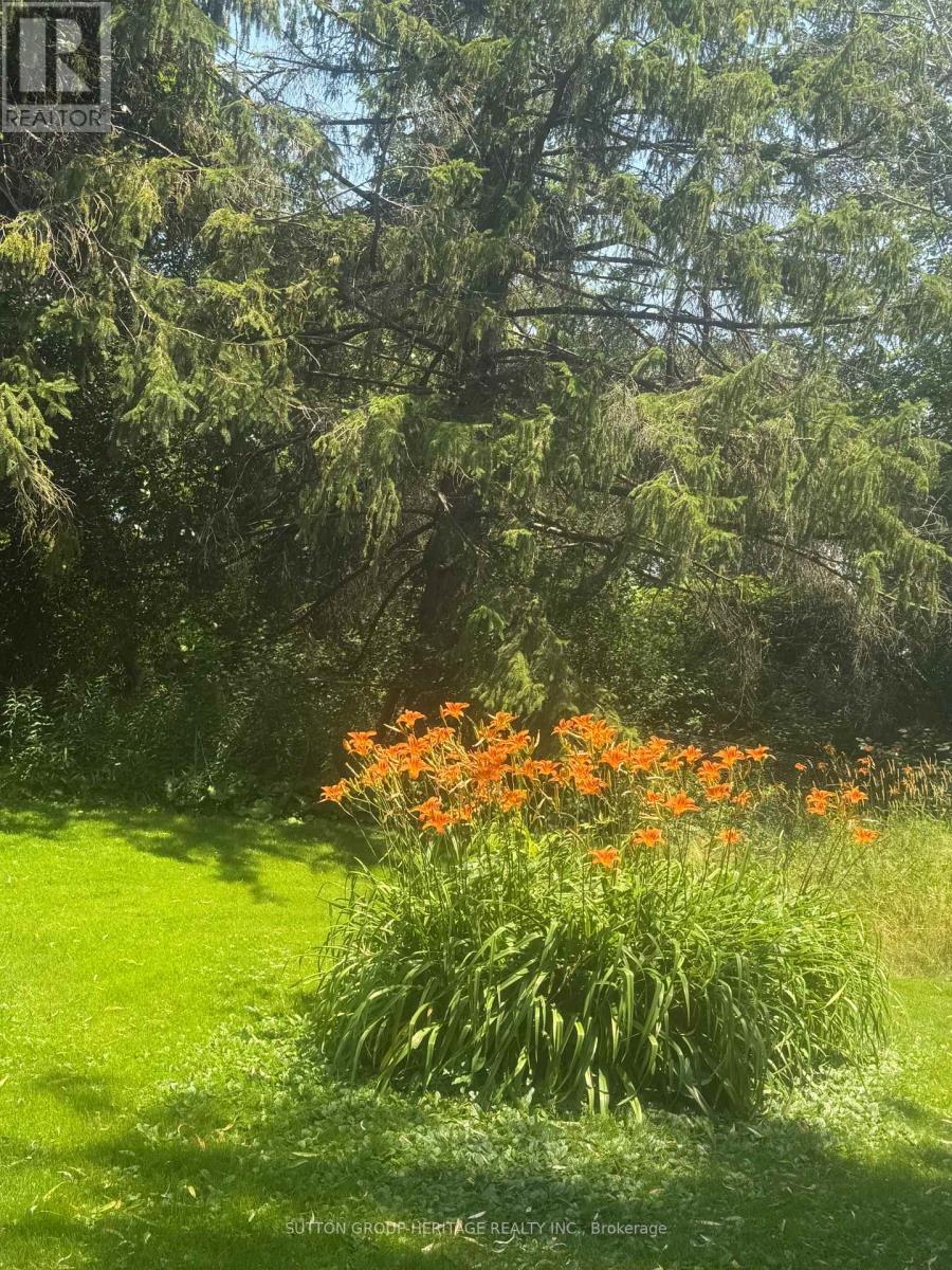 3135 Concession 9 Road, Pickering, Ontario  L0B 1A0 - Photo 32 - E12705988