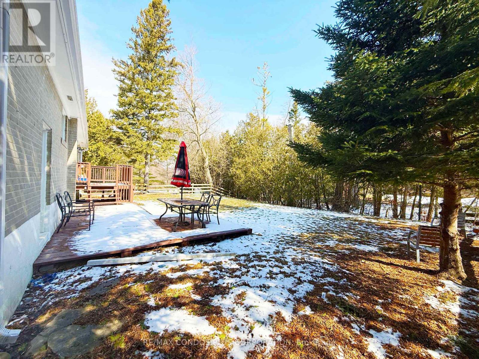 105 Park Avenue, Newmarket, Ontario  L3Y 1T6 - Photo 13 - N12743778