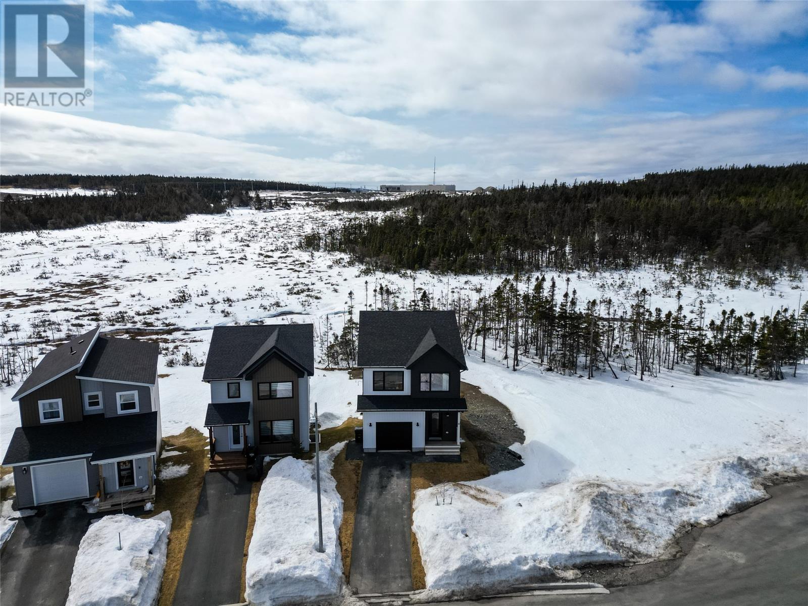 61 Leonard J. Cowley Street, St. John's, Newfoundland & Labrador  A1B 0R2 - Photo 38 - 1295081