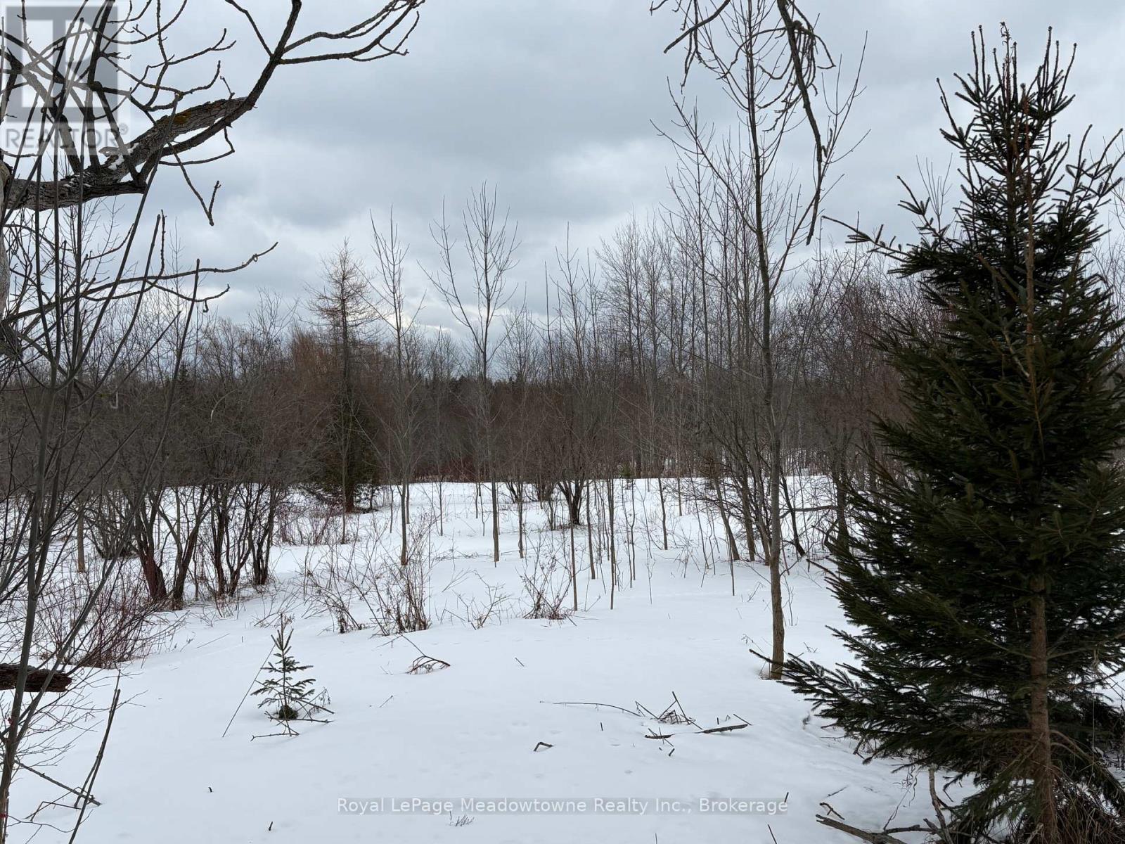 9161 Erin-Garafraxa Townline, Erin, Ontario  L0N 1N0 - Photo 3 - X12900512