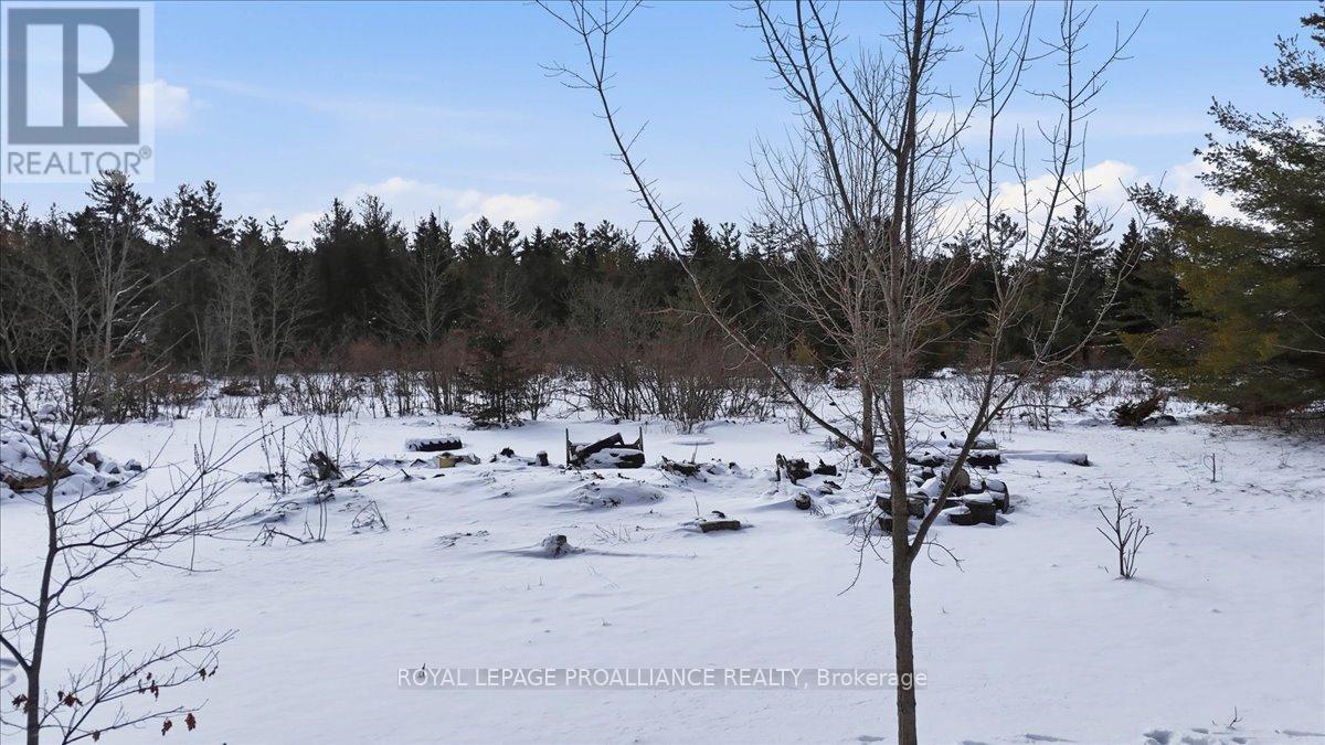 1004 Bateman Road, Stirling-Rawdon (Rawdon Ward), Ontario  K0K 3C0 - Photo 35 - X12900460