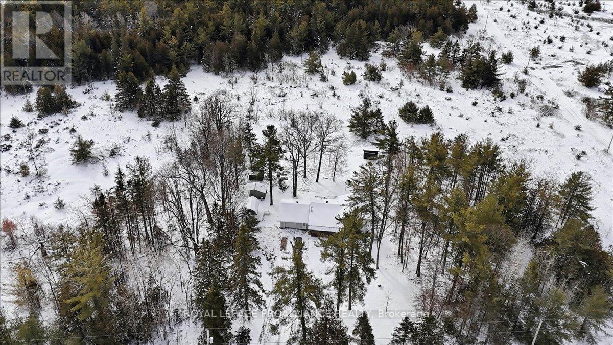 1004 Bateman Road, Stirling-Rawdon (Rawdon Ward), Ontario  K0K 3C0 - Photo 39 - X12900460