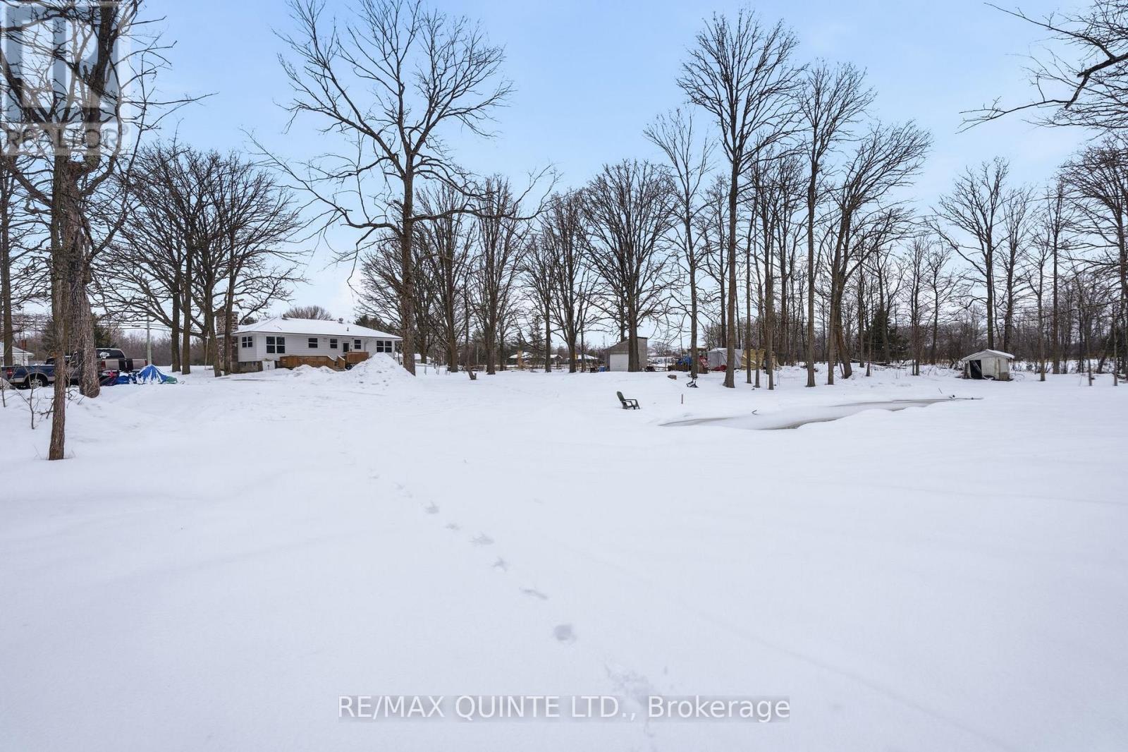 14184 Highway 62, Madoc, Ontario  K0K 2K0 - Photo 12 - X12900530