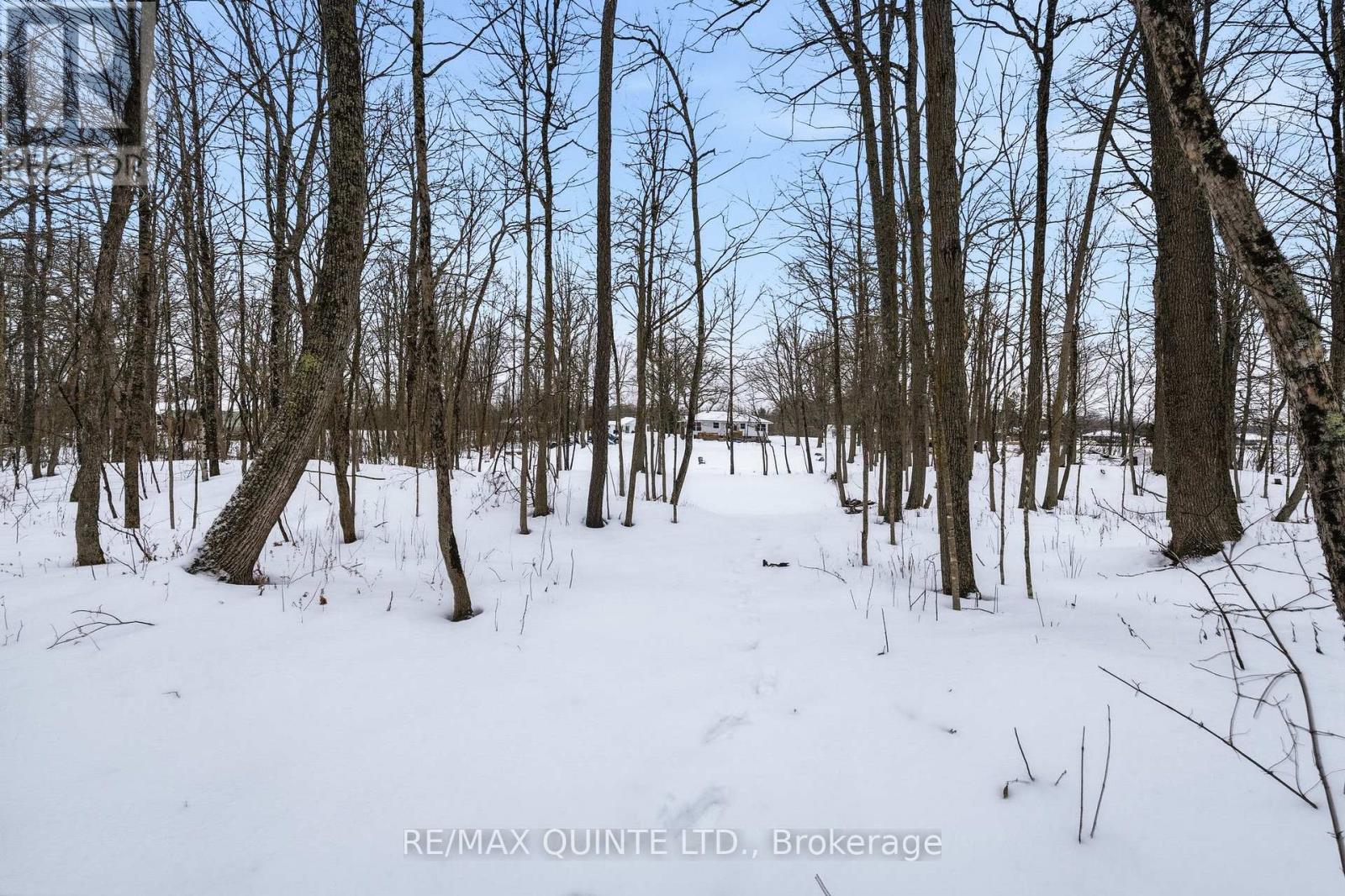 14184 Highway 62, Madoc, Ontario  K0K 2K0 - Photo 13 - X12900530