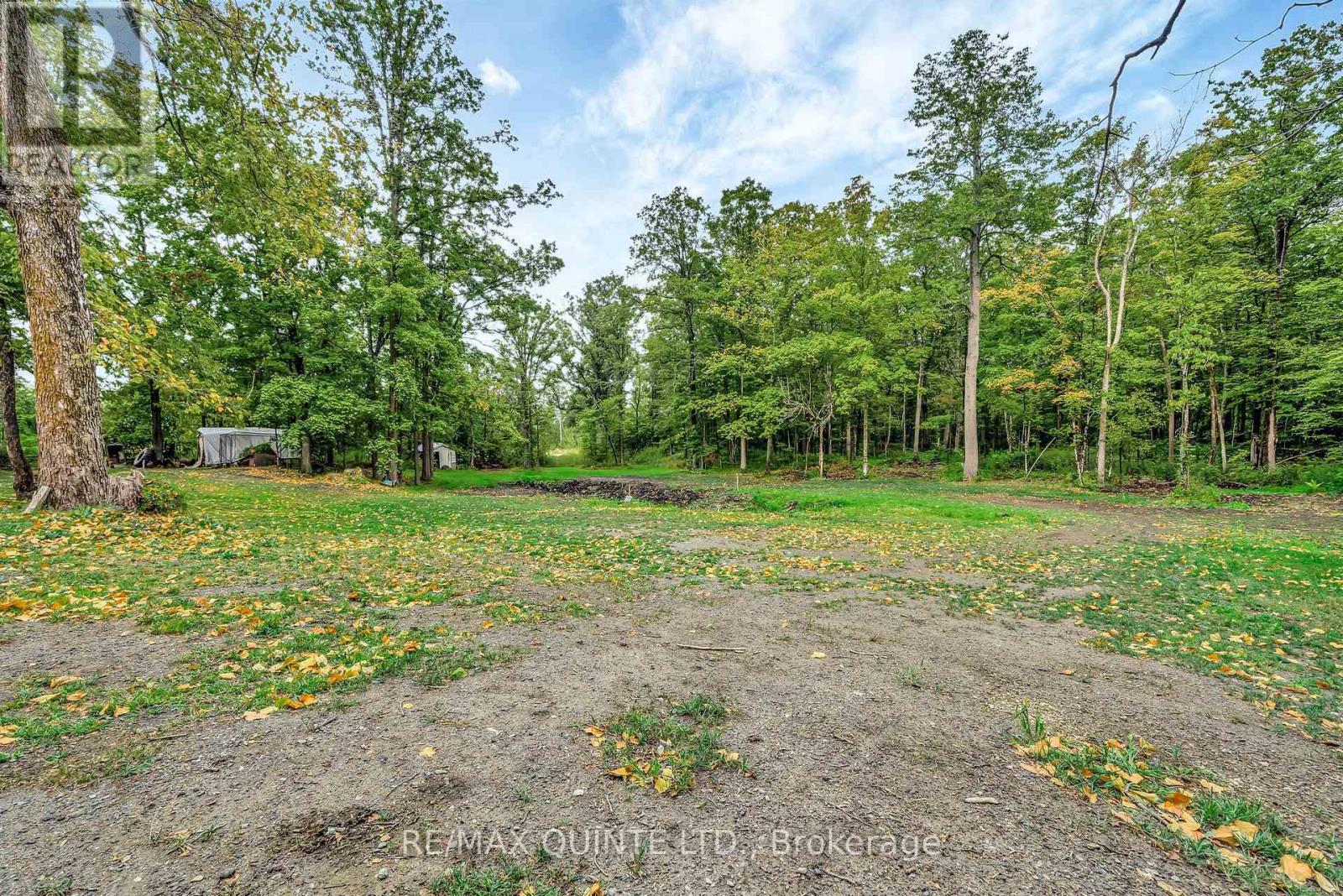 14184 Highway 62, Madoc, Ontario  K0K 2K0 - Photo 34 - X12900530