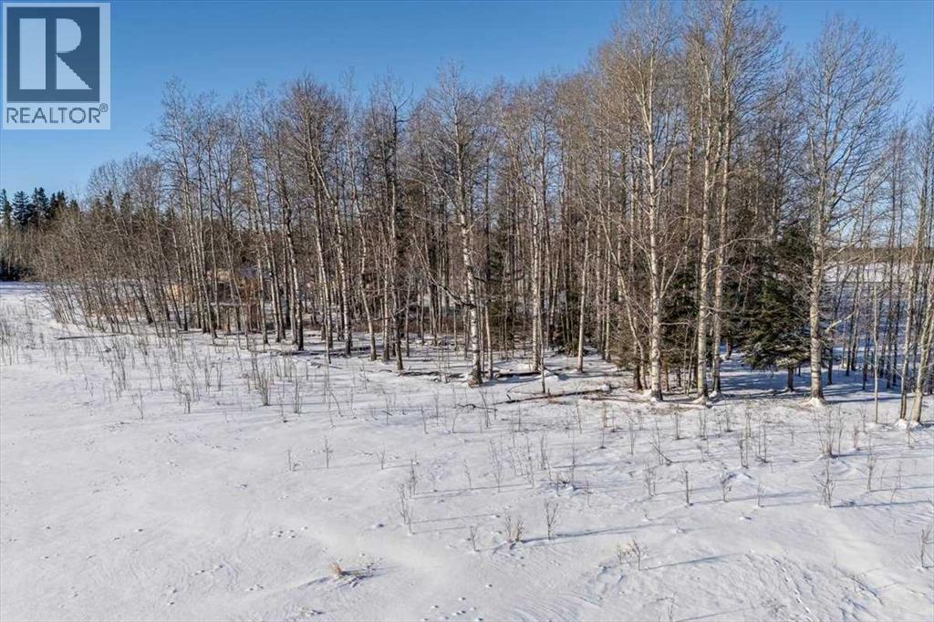 344019 22 Highway, Rural Clearwater County, Alberta  T0M 1C0 - Photo 40 - A2277736