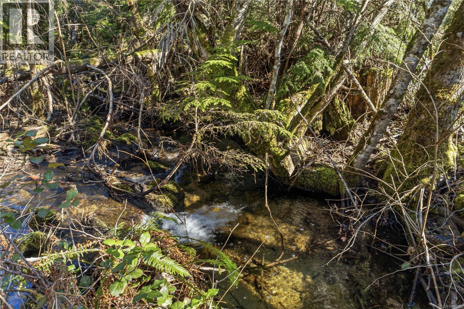 3829 Wild Rd, Whiskey Creek, British Columbia  V9K 1V6 - Photo 44 - 1029082