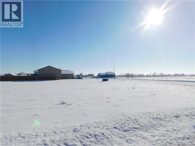 436 Margaret Avenue E, Duchess, Alberta  T0J 0Z0 - Photo 5 - SC0158145