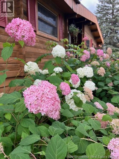 49 Pugsley Street, Nackawic, New Brunswick  E6G 1B1 - Photo 32 - NB135393