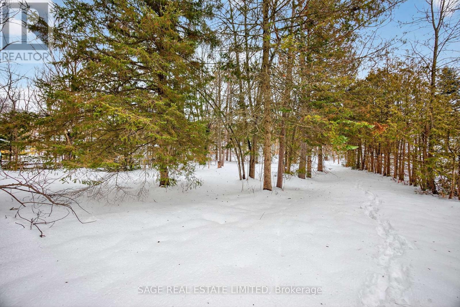 7856 Birch Drive, Ramara, Ontario  L0K 2B0 - Photo 23 - S12900692