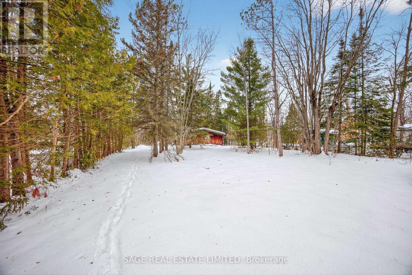 7856 Birch Drive, Ramara, Ontario  L0K 2B0 - Photo 3 - S12900692