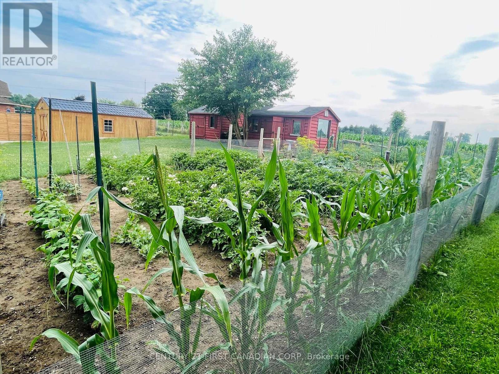 5 Falkland Road, Brant, Ontario  N0J 1V0 - Photo 42 - X12894404