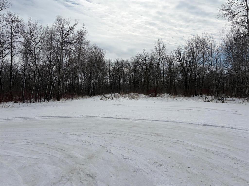 37092 36n Road, Steinbach, Manitoba  R0A 0W1 - Photo 3 - 202605049