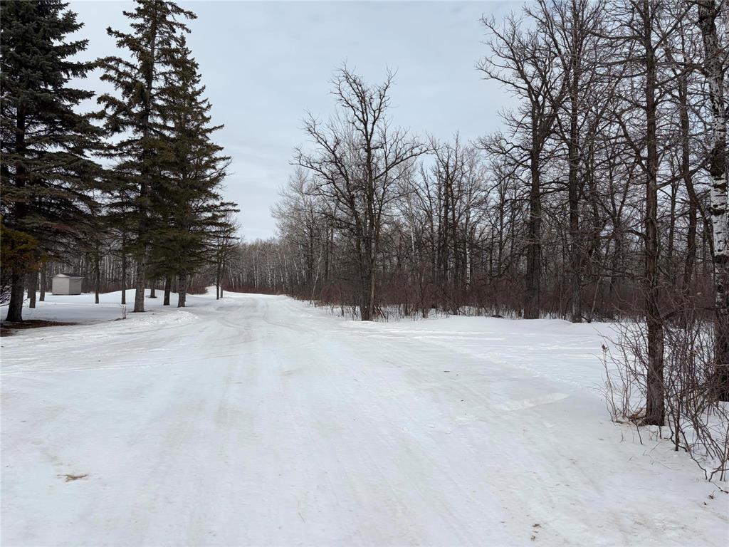 37092 36n Road, Steinbach, Manitoba  R0A 0W1 - Photo 2 - 202605049