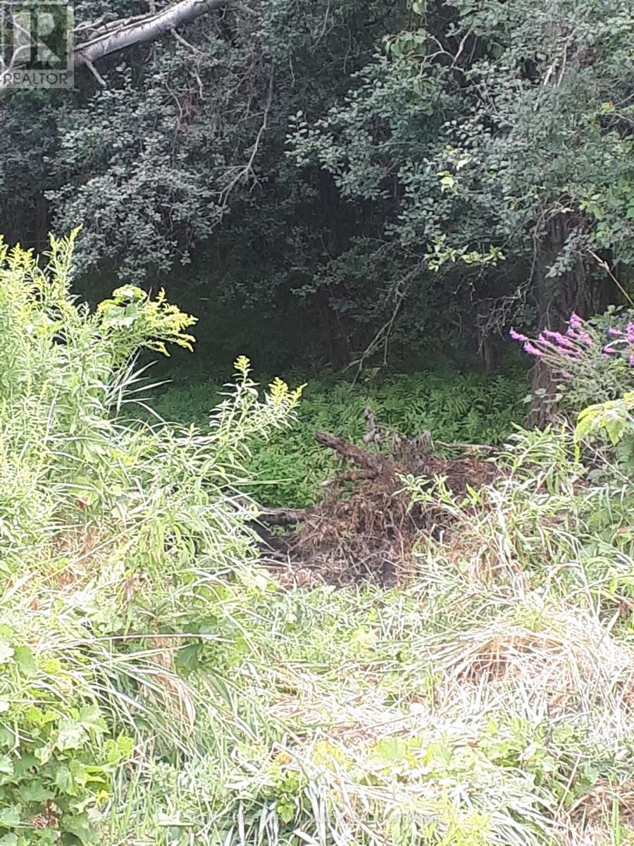 001 Lot 2 Conc 7, Port Hope, Ontario  L0A 1B0 - Photo 2 - X12422167