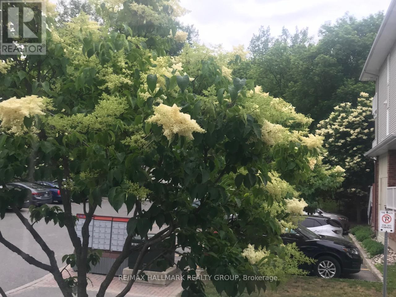 35 - 1400 Wildberry Court, Ottawa, Ontario  K1C 7K6 - Photo 28 - X12901024