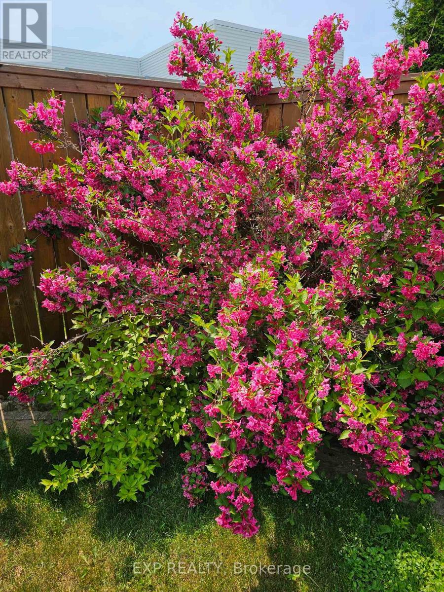 182 Elk Street, Renfrew, Ontario  K7V 1A0 - Photo 29 - X12901220