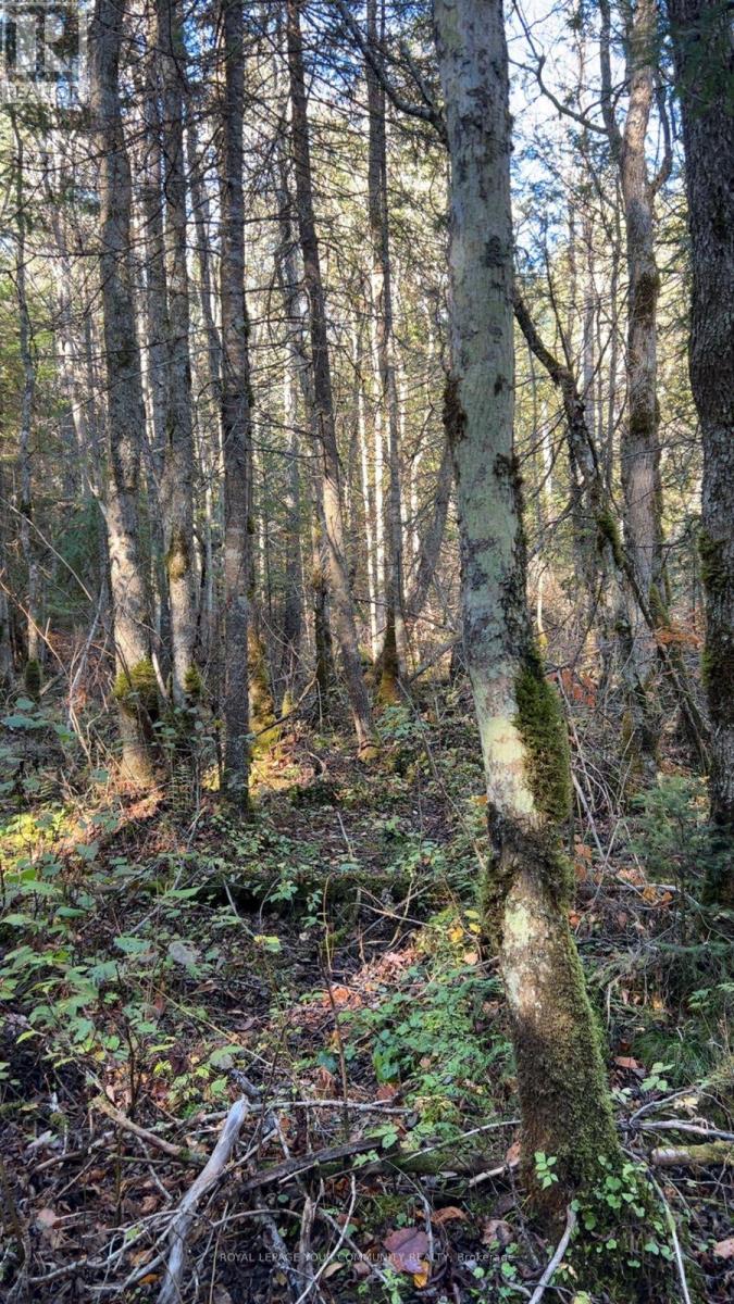 CON 1 LOT 4, Hastings Highlands, Ontario