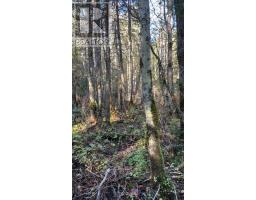 CON 1 LOT 4, Bancroft, Ontario