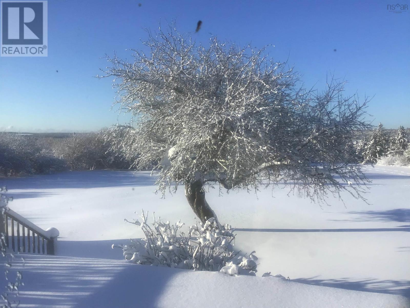 903 Feltzen South Road, Feltzen South, Nova Scotia  B0J 2X0 - Photo 12 - 202523883