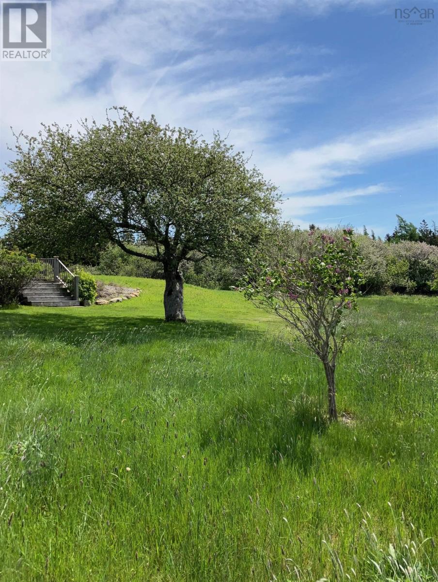 903 Feltzen South Road, Feltzen South, Nova Scotia  B0J 2X0 - Photo 9 - 202523883