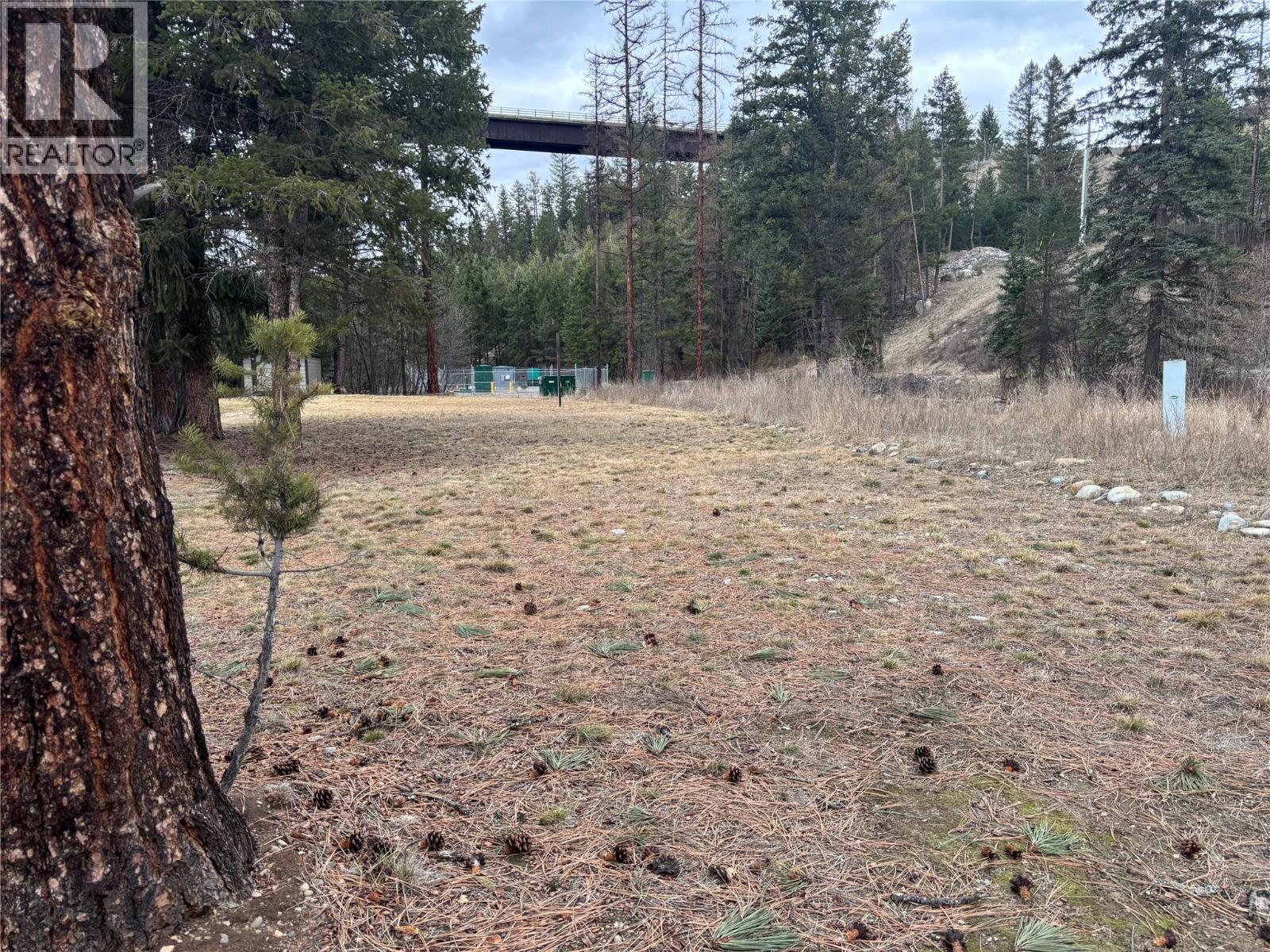 104 River Drive, Cranbrook, British Columbia  V1C 0C6 - Photo 1 - 10379186