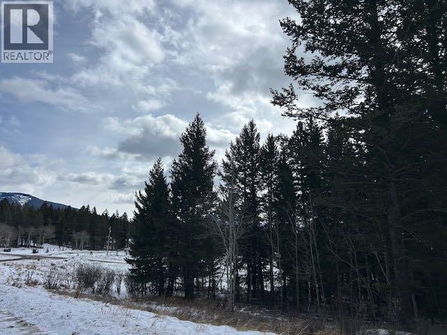 #8, 6308 25 Avenue, Coleman, Alberta  T0K 0M0 - Photo 11 - A2293351